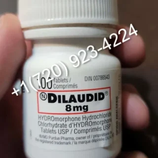 Dilaudid Hydromorphone 8mg